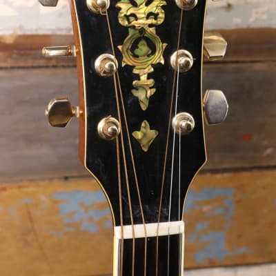Bozo Model B80S Acoustic With Pickup image 5