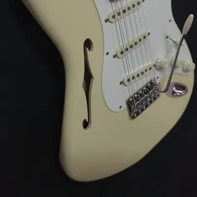 Custom Fender Thinline Stratocaster EJ Inspired Eric Johnson Signature Pickguard Assembly w/Gigbag image 3