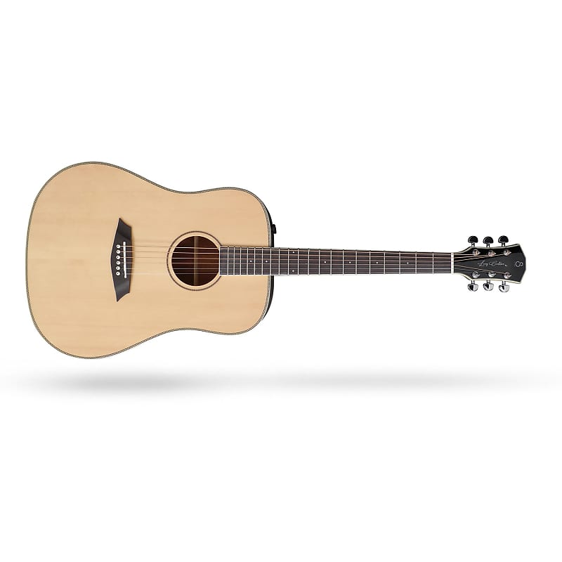 Sire larry store carlton acoustic guitars