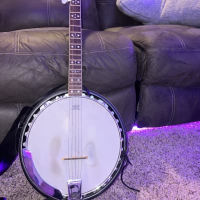 Fender 5 string banjo image 1