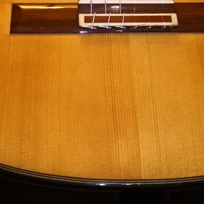 Classical Guitar by Juan Fernandez Garcia image 9