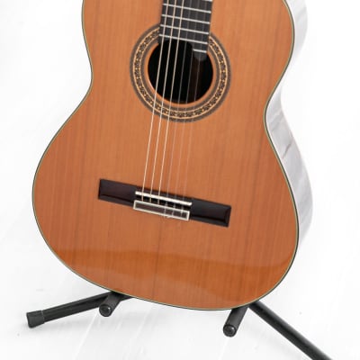 2012 Terry Pack nylon classical guitar image 2