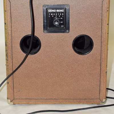 Genz Benz Shenandoah 100 Acoustic Guitar Amplifier image 20