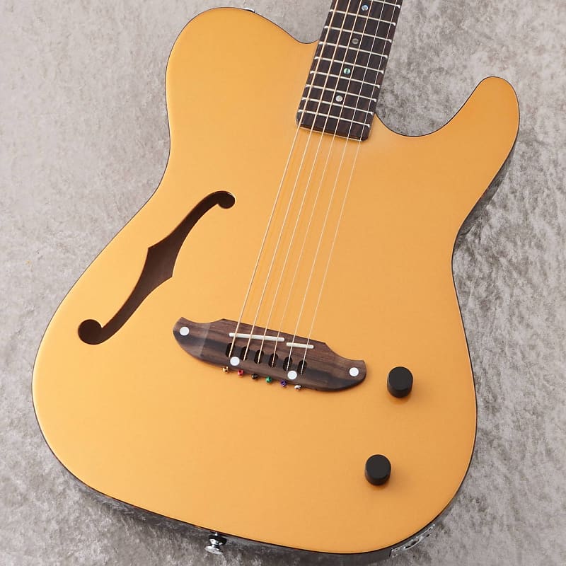 Schecter OL-FL-P GO 【Spot model】 2024 - Gloss | Reverb