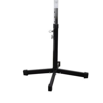 MS 300 Power Acoustics image 2