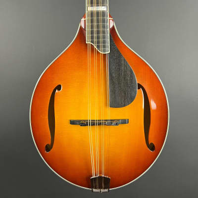 signature octave mandolins