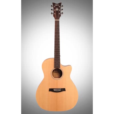 Schecter Deluxe Acoustic Guitar, Natural Satin image 2