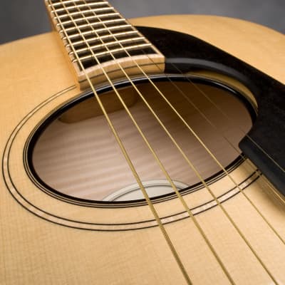 Schneider Guitars / The SoHo17 image 12