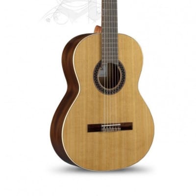 Alhambra 1C Hybrid Terra Classical Guitar w/Gig Bag for sale