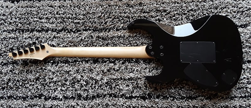 Cort X-11 with Flame Maple Top, Locking Tremolo System