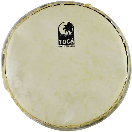 Toca 14'' Synthetic Head for Mechanically Tuned Djembe Reverb