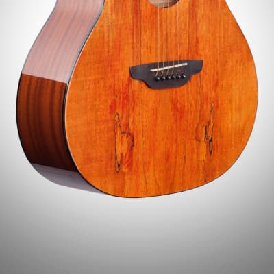 Luna Gypsy Grand Auditorium Acoustic Guitar, Exotic Spalted Maple image 4