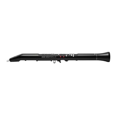 Akai Professional EWI Solo Electronic Wind Instrument with Built-in Speaker, Rechargeable Battery, and 200 Onboard Sounds image 3