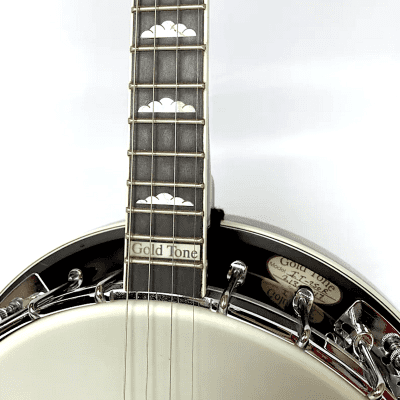 Gold Tone IT-250R 4-String  Irish Tenor Banjo w/ Resonator image 2