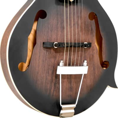 Gold Tone F-6 Long Scale Manditar Mando-Guitar with Case image 1
