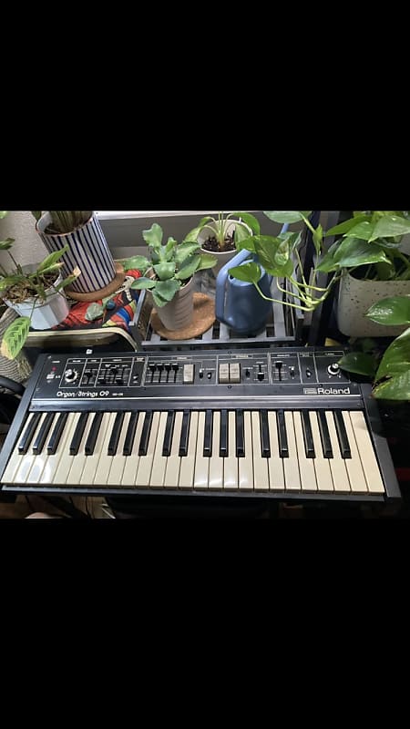 Roland RS-09 44-Key Organ / String Synthesizer 1978 - 1983 - Black image 1