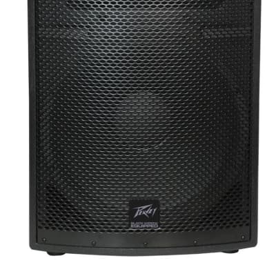 Peavey SP2 II Passive Speaker (500 Watts, 1x15"), Single Speaker image 2