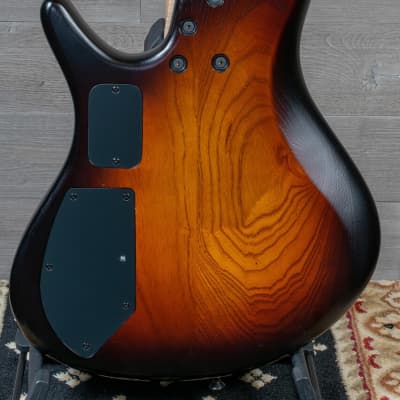 Roscoe Century Standard Plus 4J Fretless Bass Guitar Sunburst w/Case image 3