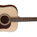 Washburn HD10S Heritage Series Dreadnought Solid Spruce Top