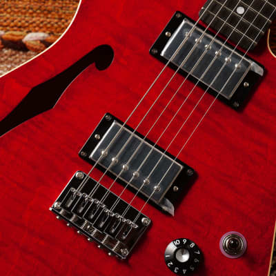 K.Nyui Custom Guitars KN-TE Thinline w/Lollar P.U Inperial HB  #1744 - Trans Cherry image 3