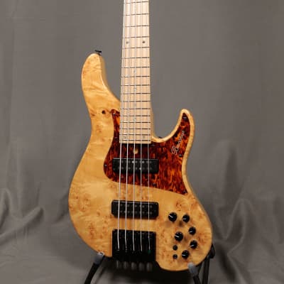 Bacchus WOODLINE HEADLESS 5st SP18 (05/18) | Reverb