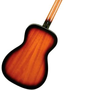 Gold Tone PBB Paul Beard Resonator Bass Guitar with Hard Case 6.8 lbs. image 2