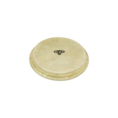Latin Percussion CP221A Small Replacement Bongo Head image 1