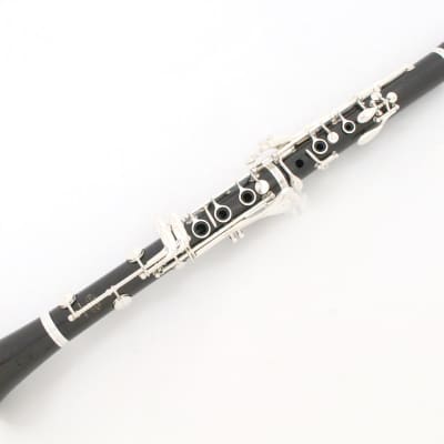 Buffet Crampon B flat clarinet R13SP, all tampos replaced