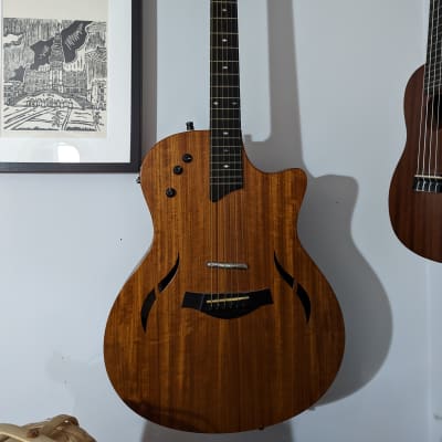 Taylor T5-X Classic with Ovangkol Top 2012 - 2013 - Natural for sale