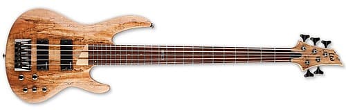 ESP LTD B-205SM 5-String Bass(New) image 1