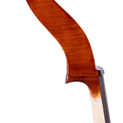 Gasparo Da Salo Doublebass 3/4 Hand-Made in Romania 2024 #5 image 13