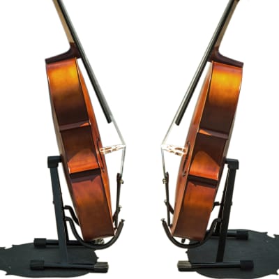 Paititi CE3005PE Scholar 256 Ebony Fitted Matte Finish Solid Wood Cello with Case and Bow 1/2 Size image 5