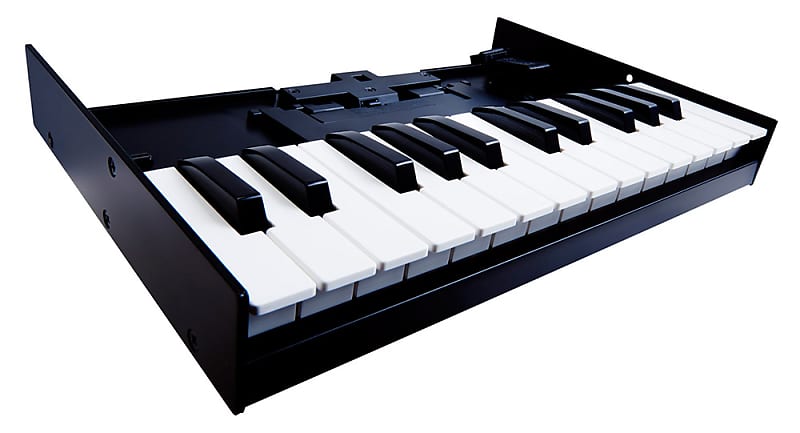 K-25M Roland Boutique Roland image 1