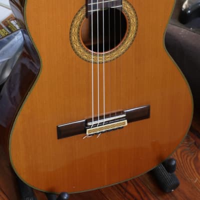 Aria Classical Acoustic Guitars | Reverb