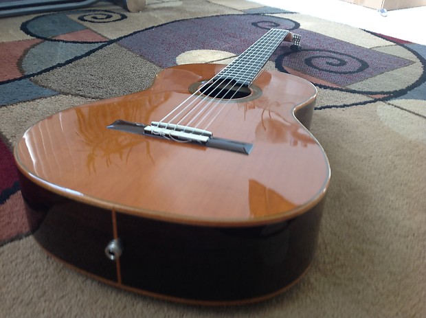 Cordoba Fusion 12 Orchestra Pro CD/IN