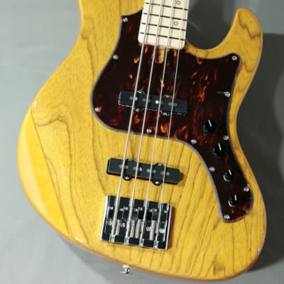 FgN bass guitars for sale in USA | guitar-list