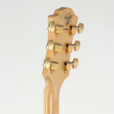 Fernandes Fernandes MG-120X hide Model Graphic on Black | Reverb