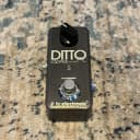 TC Electronic Ditto Looper - Power Adapter Included