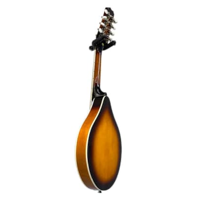 BeaverCreek Spruce Top A-Style Mandolin - Left Handed - Gig Bag Included image 4
