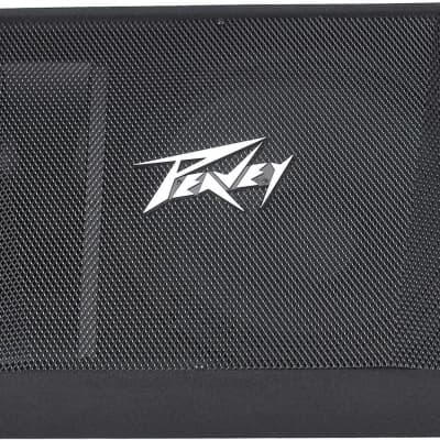 Peavey PV 15M 2-way Stage Monitor | Reverb