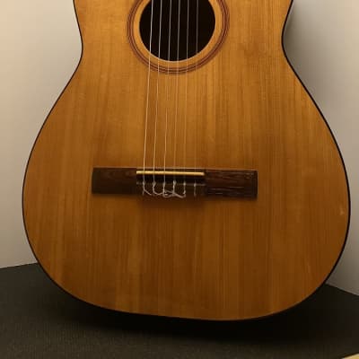 Goya G-10 Concert Size Classical Guitar with Case - 1968 image 1