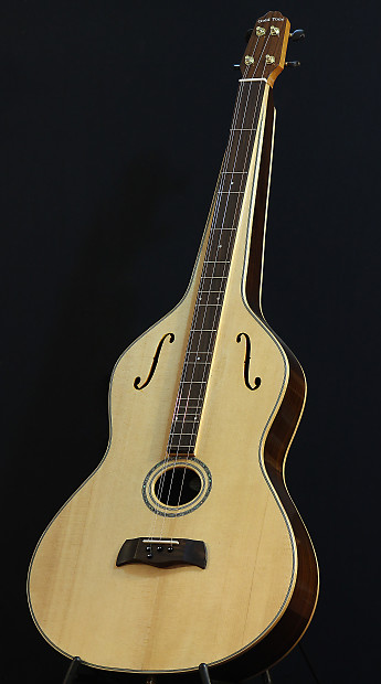 Gold Tone Dulciborn Lap Style Weissenborn Dulcimer Hardshell Case Electronics