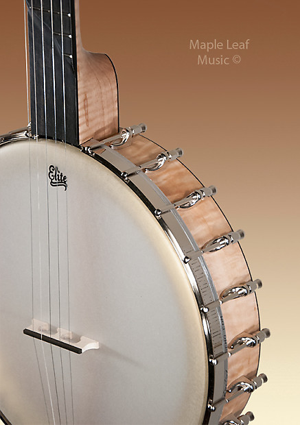 Huss and top dalton banjo