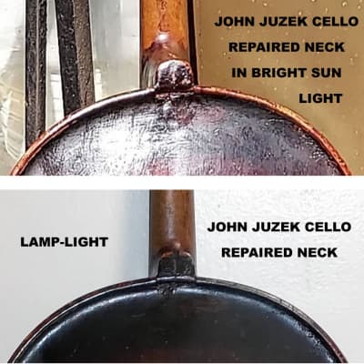 Vintage John Juzek 1/2 Size Cello, Circa 1950 - 1960 / Reddish Brown image 6