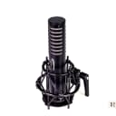 Royer R-101 Ribbon Microphone