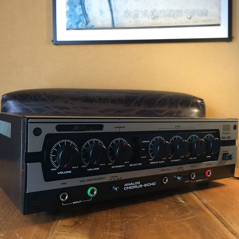 Amazon | ◇Roland◇ DC-30 Vintage Analog Delay◇ローランド◇ | ディレイ・リバーブ | 楽器・音響機器