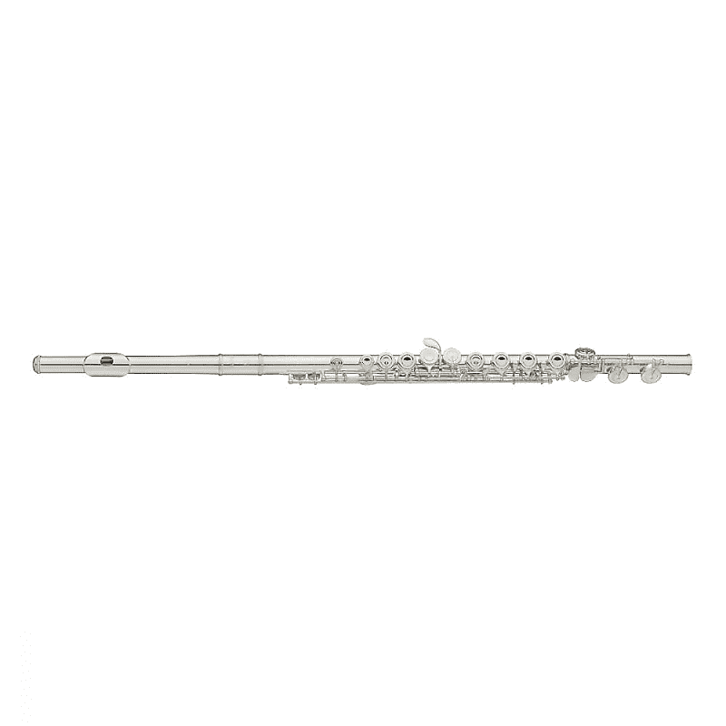 Yamaha Closed-Hole Student Model Flute YFL-222 image 1