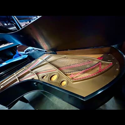 C. Bechstein 7' Grand Piano Classic Ebony Elegance image 4