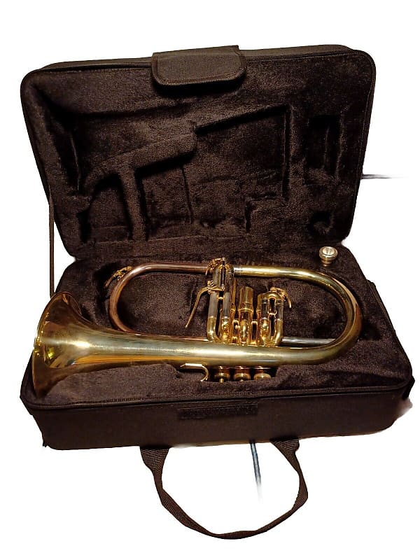 Thomann Fh J Raw Jazz Bb Flugelhorn Bundle Reverb