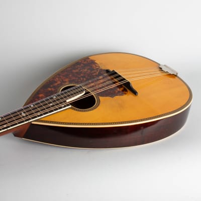 Wm. Stahl Flat back, bent top Mandola made by Larson Brothers c. 1925 natural top, faux rosewood bac image 7